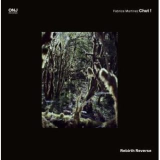 Pochette de l'album "Rbirth - Reverse" de Fabrice Martinet-Chut