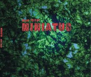 Miniatus Quartet_Mean Things_couverture