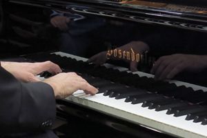 Les mains du pianiste Mario Stanchev sur le clavier du Bosendorfer le 02/04/19 à Lyon Music