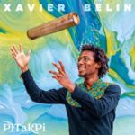 couverture de l'album PiTakPi de Xavier Belin