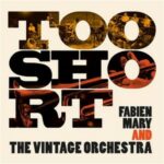 Couverture de l'album Too Short de Fabien Mary and The Vintage Orchestra