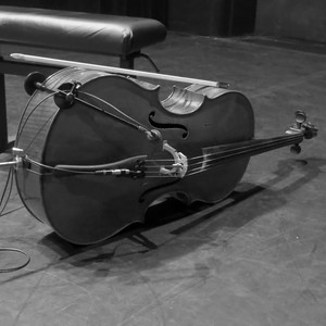 cello de Valentin Ceccaldi