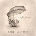 visuel de l'album Because I Care du David Tixier Trio