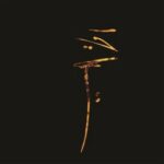 visuel de l'album Atrium de Julien Stella_2025... CD à ne pas rater !